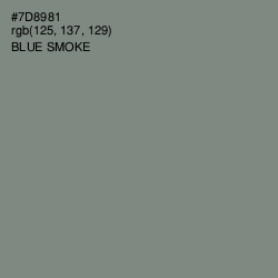 #7D8981 - Blue Smoke Color Image